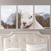 3 Piece Framed Canvas Wall Art Fun Animals Canvas Prints Home Artwork Decoration for Living Room,Bedroom - 16