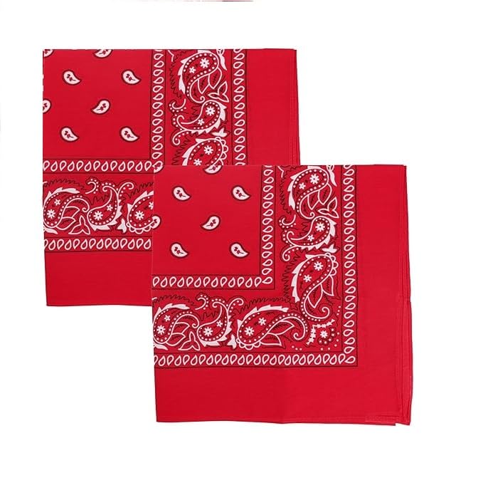Image of SPIN CART Soft Breathable Cotton Paisley Bandana Handkerchief For Hair Head Bike For Men & Women