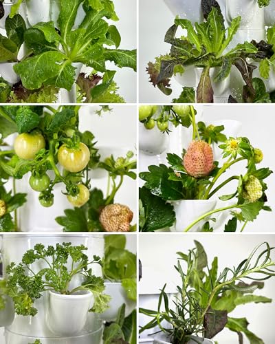 Hydroponic farming system