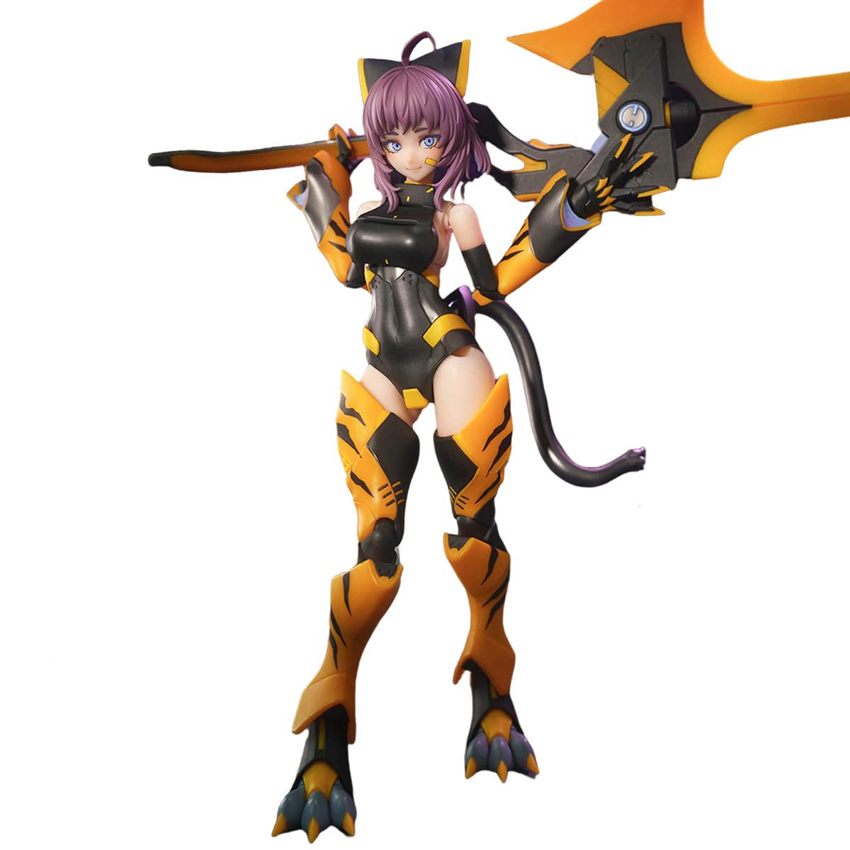 Amazon.co.jp: HiPlay : 蝸の殻