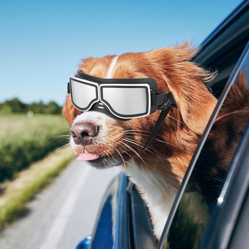 Lunettes de protection pour chiens Teksome pour taille moyenne et grande - 3