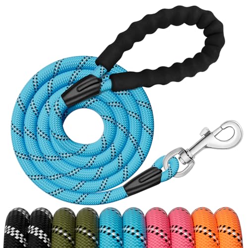 dog leashes