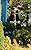 Good Directions 8807PG Hummingbird Garden Weathervane, Polished Copper with Garden Pole