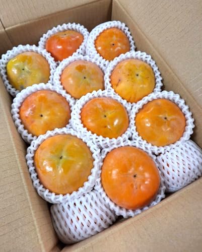 y_zJL a̎R IB̑傫H`i1350gOj5kgy①z