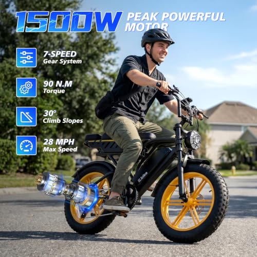 Image of TST Electric Bike for Urban Cycling, 48V 15Ah Battery, 20 inchx4 inch Fat Tire