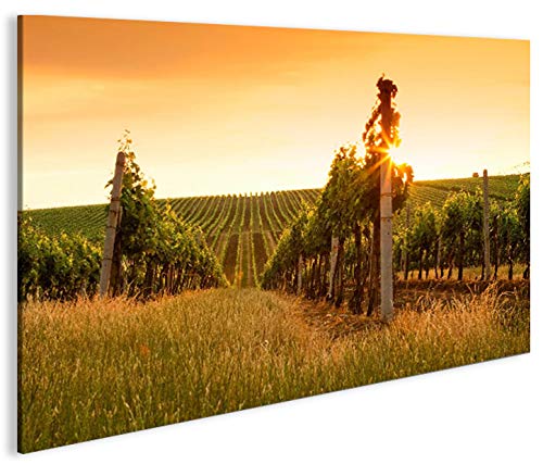 islandburner Cuadro sobre lienzo de viñedo, 1 K, XXL, póster en lienzo Art up Your Life ®