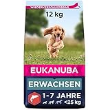 Eukanuba Hundefutter mit Lachs & Gerste für kleine und mittelgroße Rassen - Trockenfutter für ausgewachsene Hunde, 12 kg