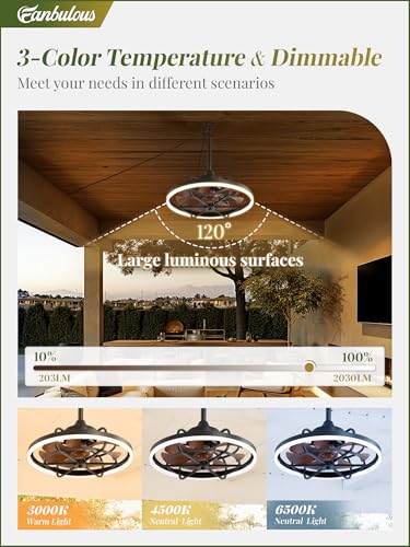 Image of Fanbulous 20 inch Outdoor Ceiling Fan with Light, Waterproof Caged Gazebo Fan