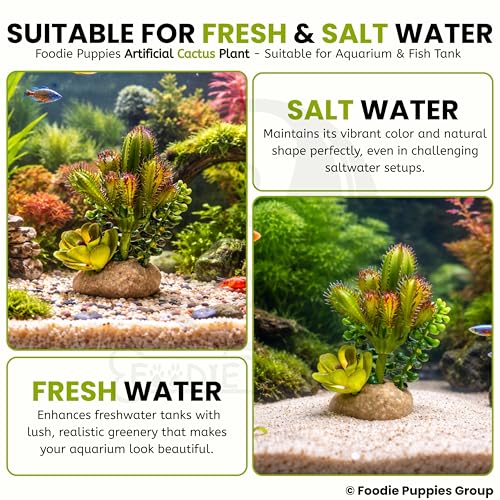 Image of Foodie Puppies Aquarium Plastic Plant with Resin Base - (Cactus Plant, 4.5 x 4 x 12.5 cm) for Fish Tank, Freshwater & Saltwater Natural Decor