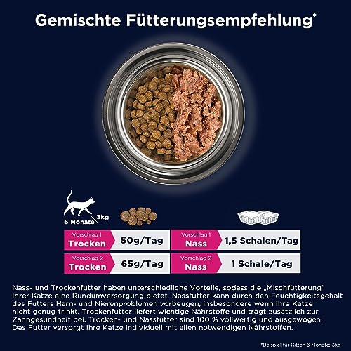 Eukanuba Junior Katzenfutter trocken getreidefrei - Premium Trockenfutter mit viel Lachs für Kitten, 2 kg
