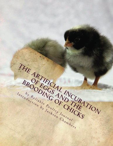 The artificial incubation of eggs and the brooding of c…