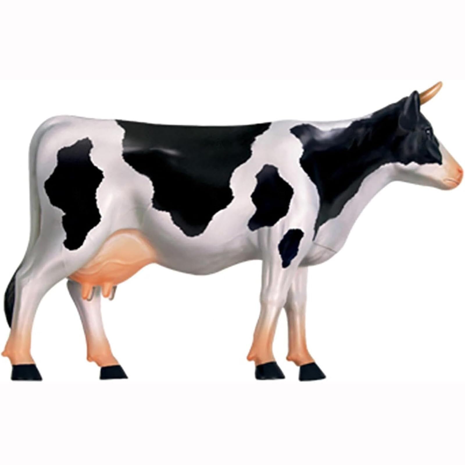 AMITD Modelo de anatomía de vaca 4D de 29 piezas para enseñanza veterinaria y clínica de mascotas