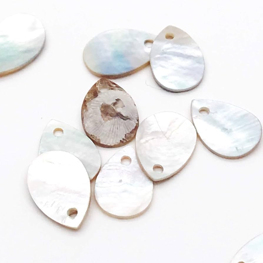 Amazon.co.jp: シェル 貝 ビーズ アクセサリー パーツ 天然