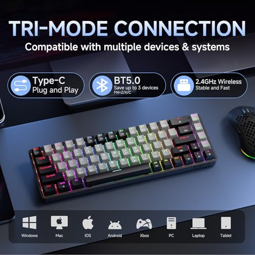 Image of Dierya DK68 Wireless Gaming Keyboard - 68 Keys Mechanical Keyboard USB-C /Bluetooth /2.4G, RGB Lighting, Clicky Blue Switch, QWERTY Layout, Black /Grey
