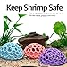 Colorful Shrimp Dome Hide - Aquarium Cherry Shrimp Hide - CTWPets Cherry Shimp Fish Tank Hide (CottonCandy Blue)