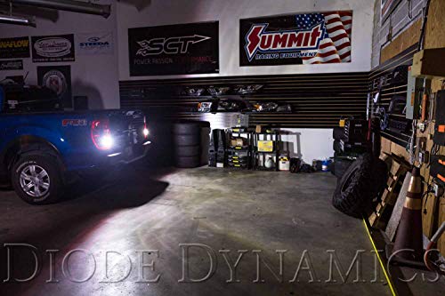Diode Dynamics Backup LEDs compatible with Ford Ranger 2019-2023 XLT (pair), 7443 XPR