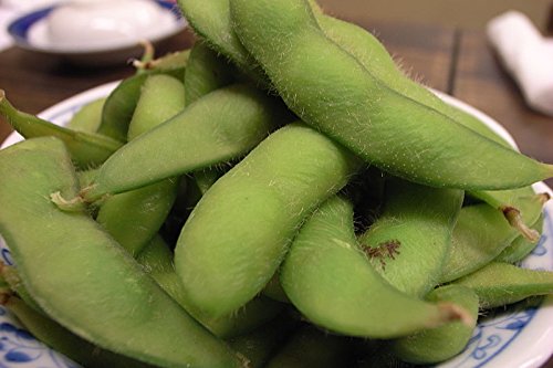 20 Butterbeans SOIA - I Semi Edamame Fagiolo verde Glycine max di verdure