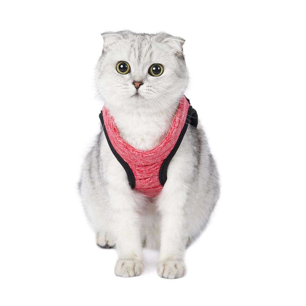 Pettorina Ultra Leggera Per Gatti Con Guinzaglio - Taglia L Rosa - Foto 2
