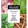 Palladio-Lip-Gloss-Pink-Candy-Non-Sticky-Lip-Gloss-Contains-Vitamin-E-and-Aloe-Offers-Intense-Color-and-Moisturization-Minimizes-Lip-Wrinkles-Softens-Lips-with-Beautiful-Shiny-Finish Palladio Lip Gloss, Pink Candy, Non-Sticky Lip Gloss, Contains Vitamin E and Aloe, Offers Intense Color and Moisturization, Minimizes Lip Wrinkles, Softens Lips with Beautiful Shiny Finish