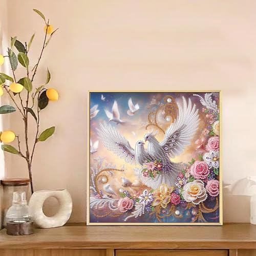 Image of AiYuanzsh Diamond Art Painting Kits for Adults, 5D Special Shape Diamond Art Kits for Beginners, Crystal Rhinestones Diamond Painting for Home Wall Decoration Gift 12x12 inch, Happy White Dove