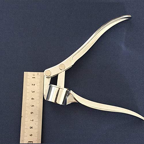 Honorall Espremedor de aço inoxidável Picador de gengibre Triturador de gengibre Espremedor de alho