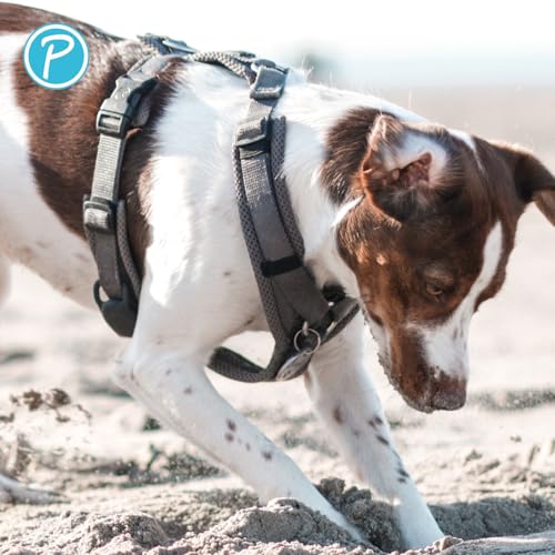 Petlando Hundegeschirr mittelgroße Hunde, weich gepolstert mit Mesh, Y-Comfort Anthrazit M (Halsumfang 46-74 cm, Brustumfang 50-74 cm), Hunde Geschirr mittel
