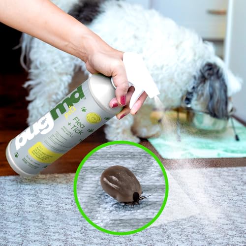 BugMD-Empty-Plastic-Spray-Bottle-32-oz-Refillable-Spray-Bottle-for-Flea-and-Tick-Concentrate-Sold-Separately-Heavy-Duty-Spray-Bottle-Nozzle