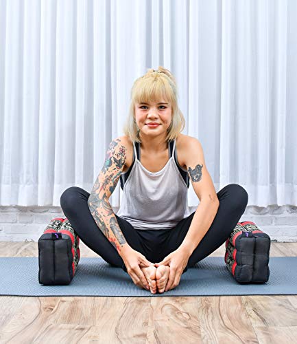Leewadee Yoga Block Pilates Brick Eco-Friendly Organic and Natural, 14x7x5 inches, Kapok, Black red