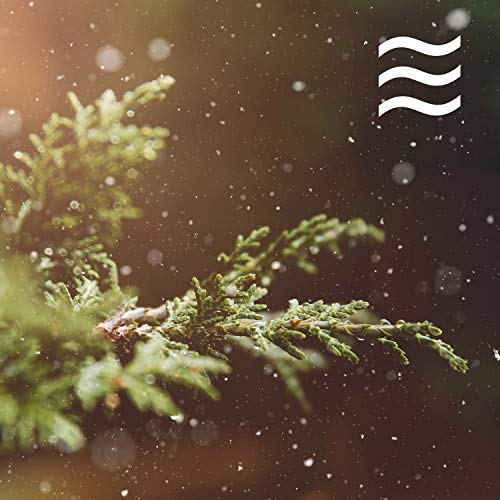 White Noise Rhytmic Sound