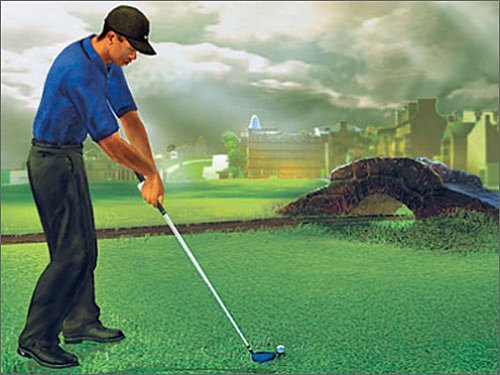 Image of Tiger Woods PGA Tour 2003 - Mac