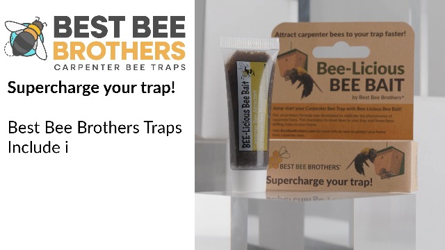 Amazon.com : Best Bee Brothers, Bee-Licious Carpenter Bee Bait