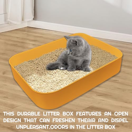 Conjunto de 5 peças de caixa de areia pequena, bandeja de areia de plástico aberta de 35 x 23 x 7,8