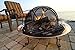 Good Directions 774 Heavy Duty Pit Spark Fire Screen Hinged for Easy Access, 24 Inch
