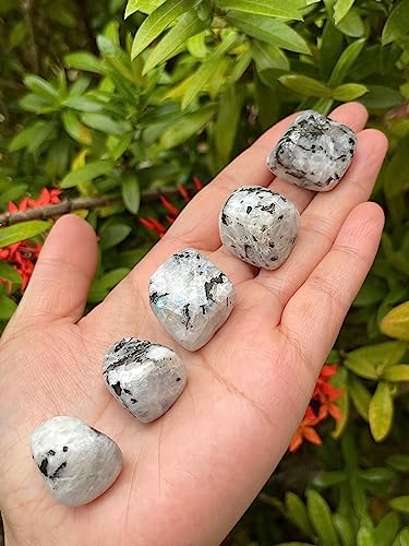 Image of GAF TREASURES 1 /2 LB Rainbow Moonstone Tumbled Stones, Polished Rainbow Moonstone Gemstone, Rainbow Moonstone Healing Crystals (Rainbow Moonstone)