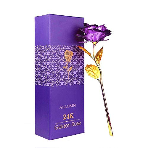 WeFoonLo Creativa Artificial 24K de Oro Rosa plástico de la Flor de Tallo Largo Rose Real Sumergido en Oro con Caja de Regalo para el Día de la Madre, San Valentín Da