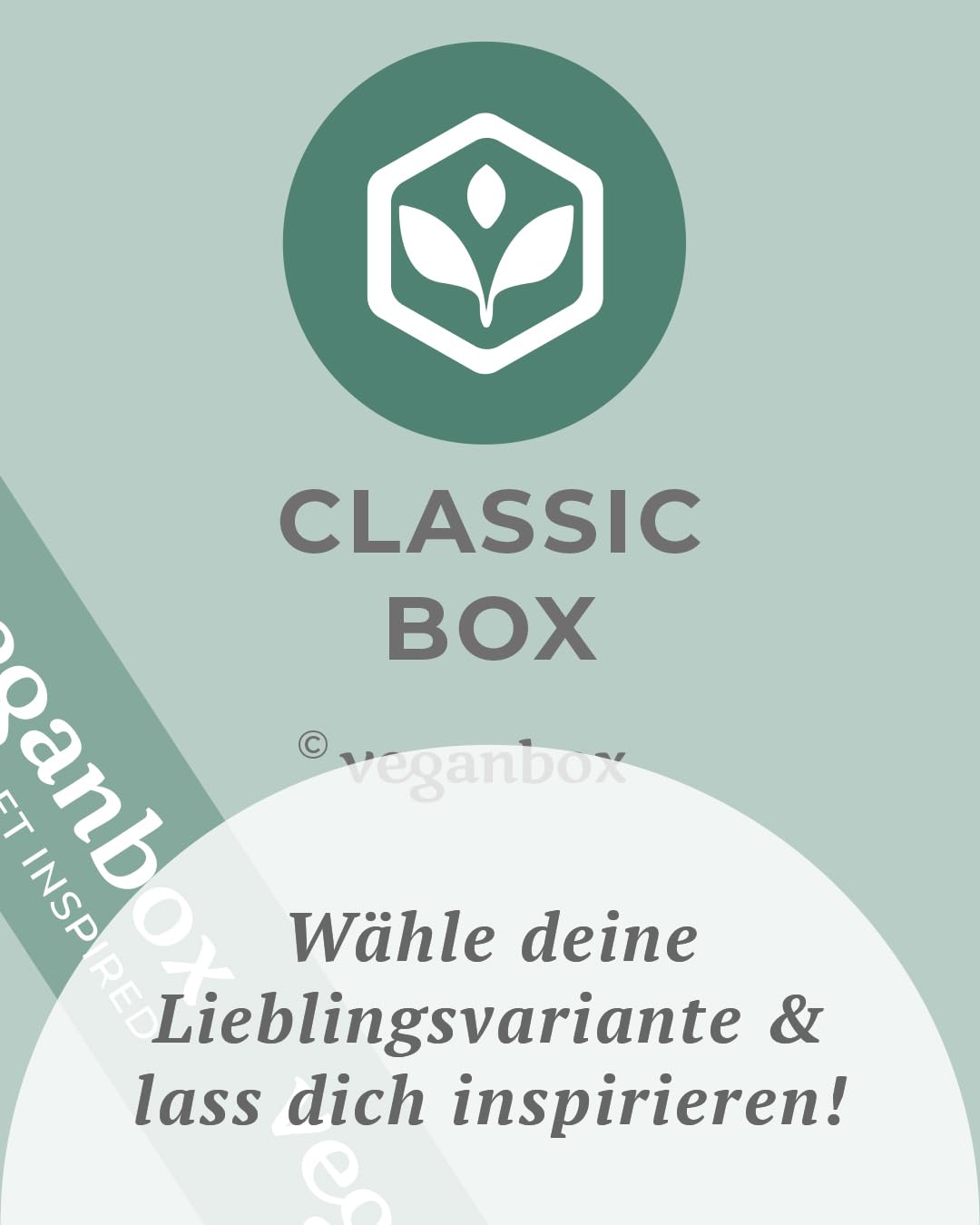 Vegan Box Geschenkbox Classic vegane Lebensmittel Kosmetik Snacks Süßigkeiten 9 Produkte