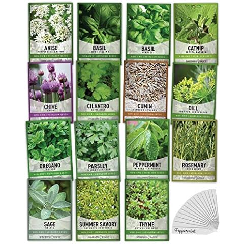 Gardeners Basics, 15 Herb Seeds For Planting Varieties Heirloom Non-GMO 5200+ Seeds Indoors, Hydroponics, Outdoors - Basil, Catnip, Chive, Cilantro, Oregano, Parsley, Peppermint, Rosemary and More Cover