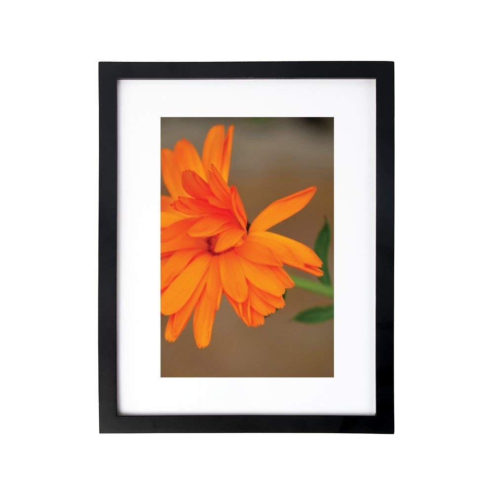 12x12 Square Black Wood Picture Frame and Clear Glass