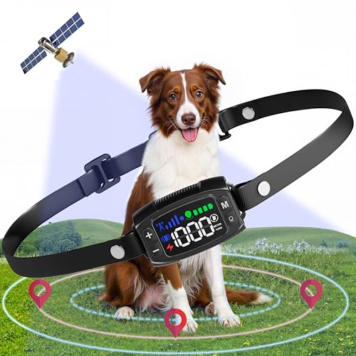 Veconix GPS Funkzaun für Hunde, 1