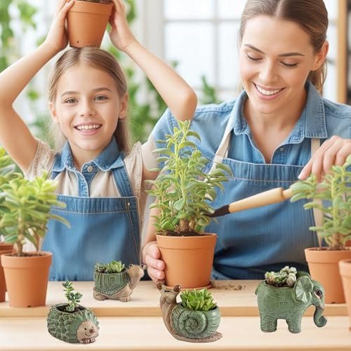 Pots de fleurs hérisson et tortue pour décorer votre bureau - 4
