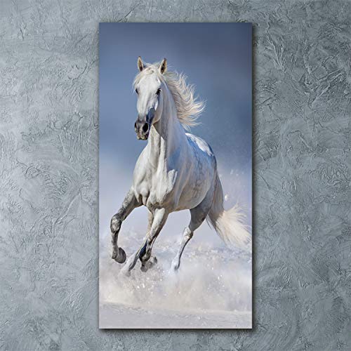 Déco mural derrière le plastique acrylique cheval blanc 60x120 - 3