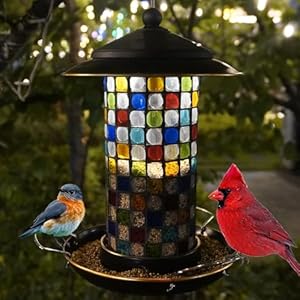 Teravem Solar Glass Bird Feeder for Outdoors Hanging