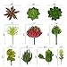 GPARK (Mini Size 10 Pcs Artificial Succulents Pots Pot Plants Fake Assorted Simulation Cactus Cacti DIY Materials Decoration Plastic Green Leaf Faux Aloe 2-4 inch Small (No Cube)
