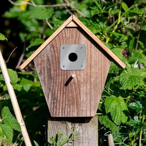 Simply Hardware Satin Stainless Steel Bird Box Protector Cover
