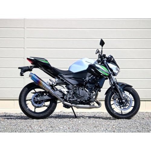 Amazon | ダブルアールズ(Wr'S) Z250 19-(2BK-EX250P)/Z400(2BL