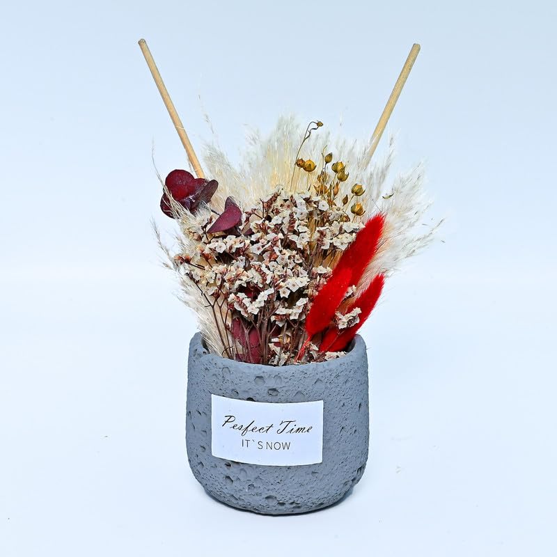 Cortina Preserved Dried Flowers for Wall Decor | Aesthetic Room Decor, Home Decor, Living Room Decor & Bedroom Decor | Great for Christmas Gifting - Red & White - 16x9x28 CM