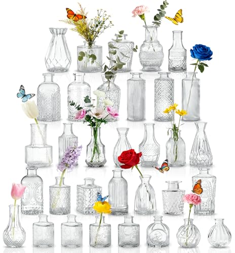 Old Canal Blumenvasen-Set, 33 Stück Mini-Blumenvasen für Tischmitte, kleine klare Vasen für Blumen für Geburtstagsdekorationen, Hochzeitsfeier, Wohnraumdekoration