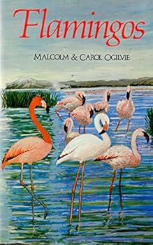 Hardcover Flamingos Book