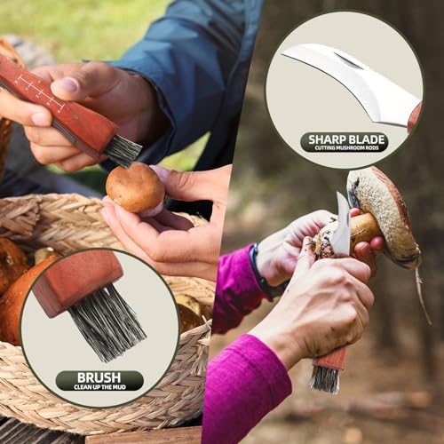 Mushroom Foraging Bag with Kit