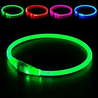 BSEEN LED Rechargeable Dog Collar - USB Light Up Safety Necklace, 360° Night Visibility for Small Medium Large Dogs (Green)